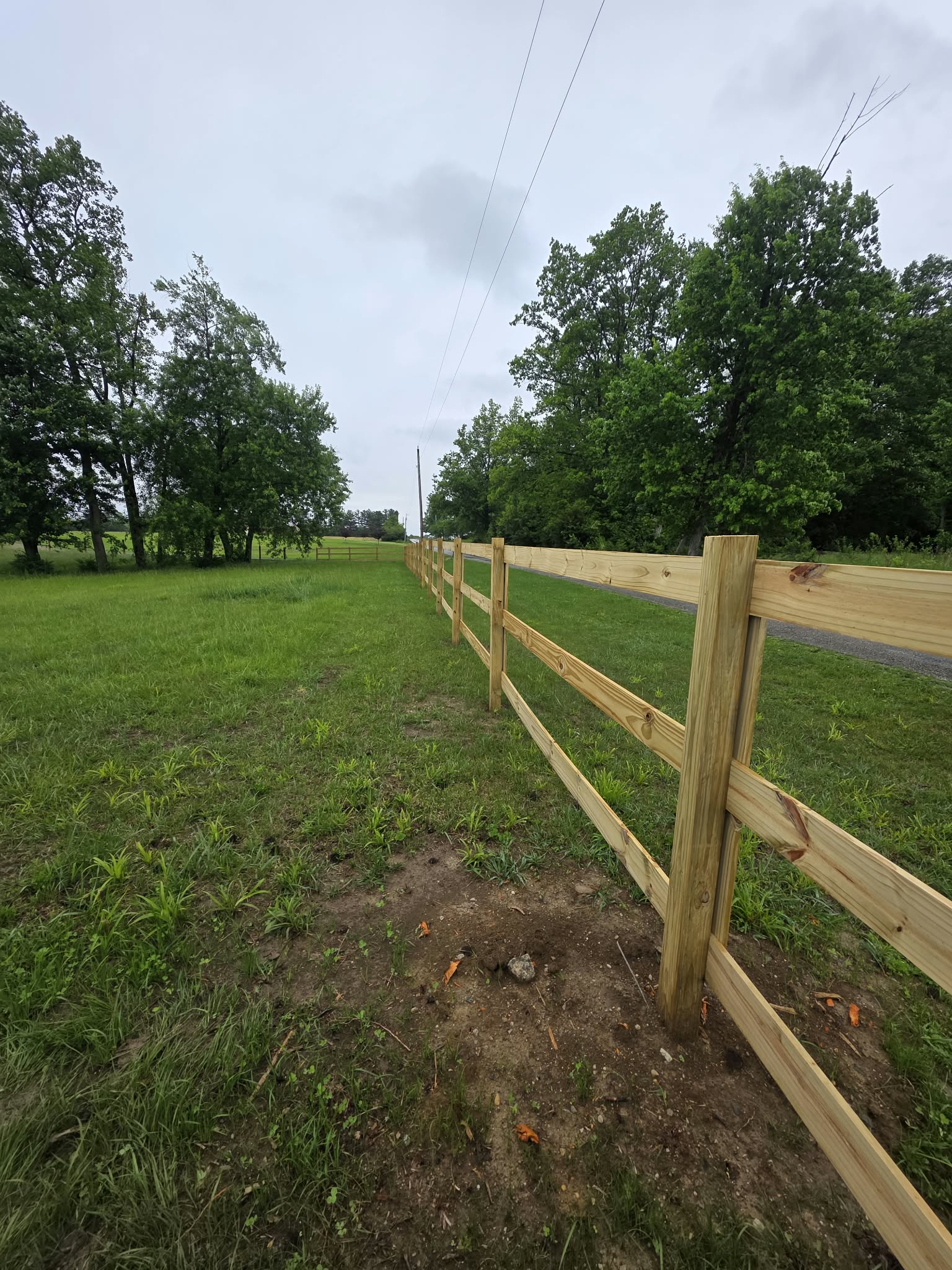 Fencing