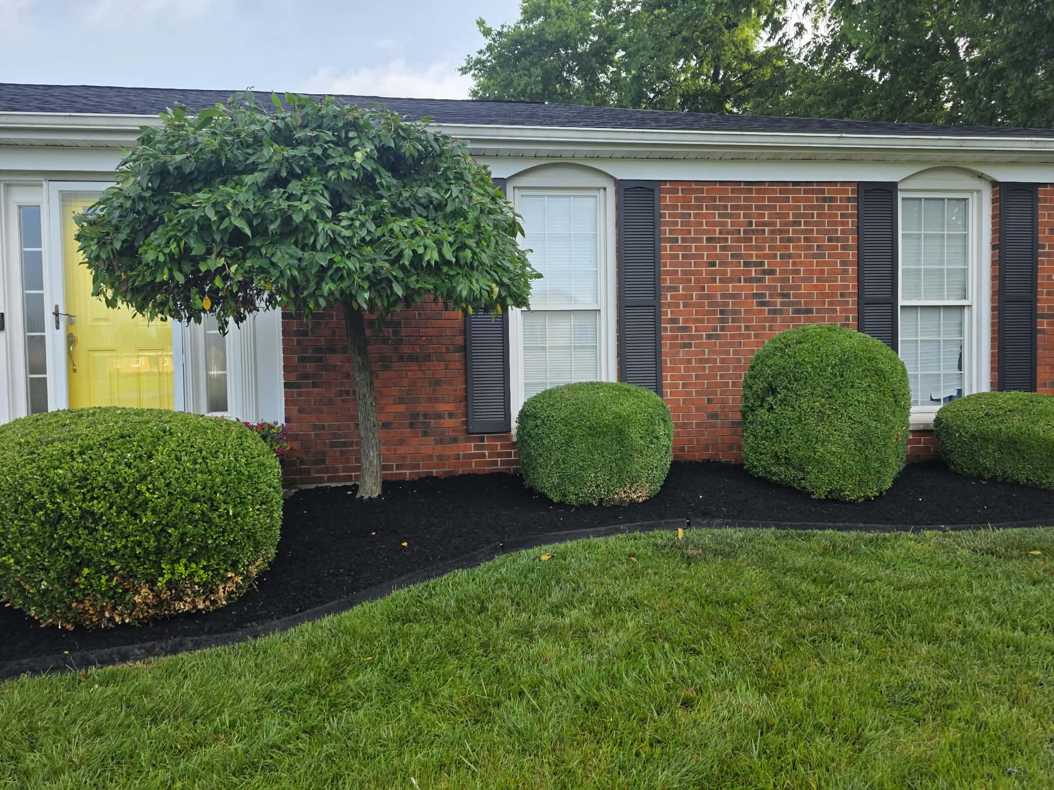 Flower Beds