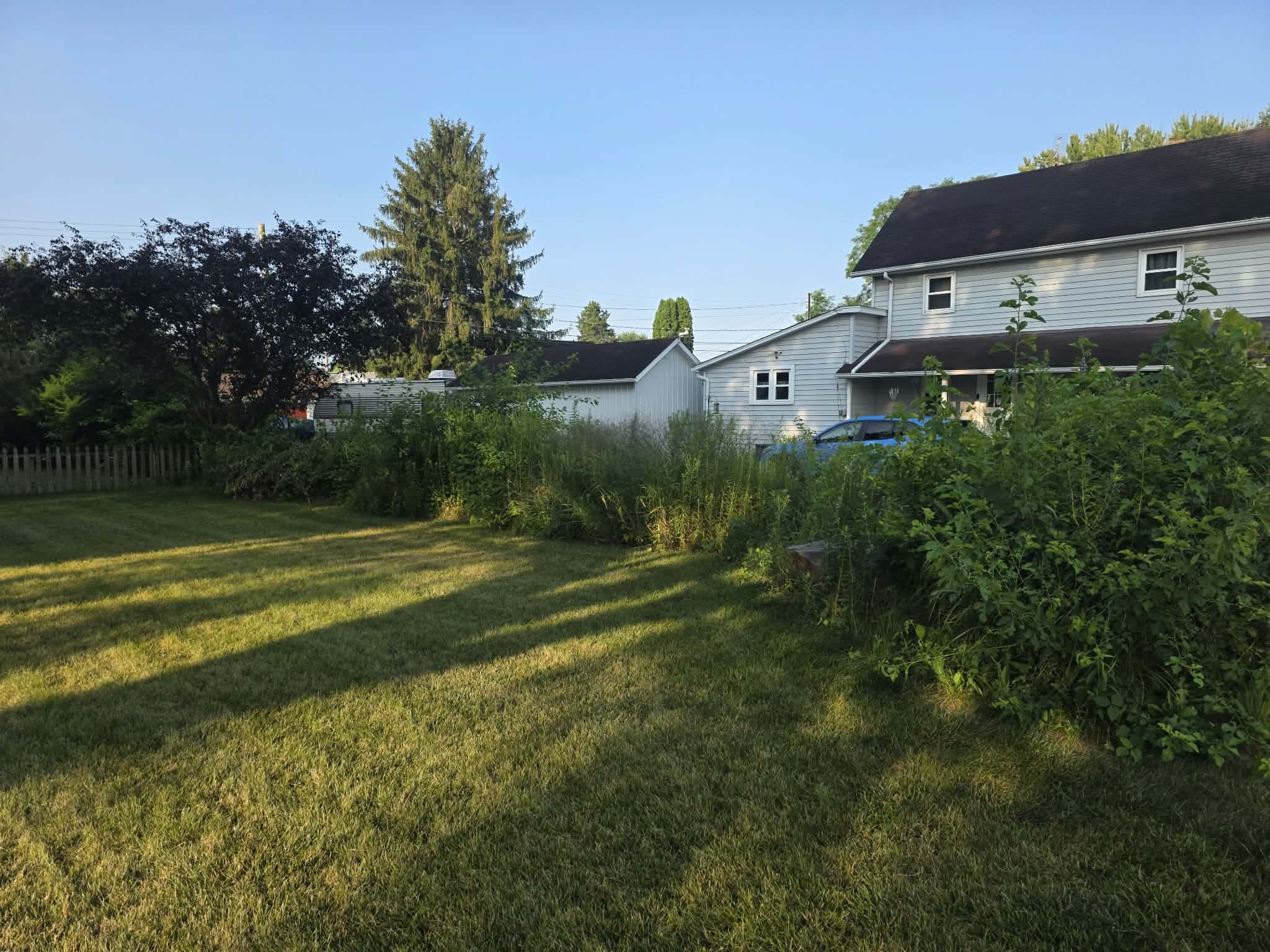 Fence Row Clean up