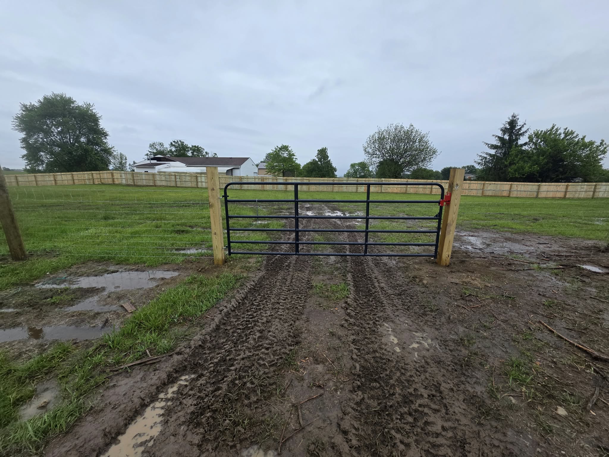 Fencing 2